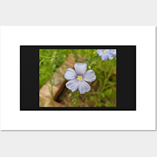 Purple Flower in Brick Planter Photographic Image Posters and Art